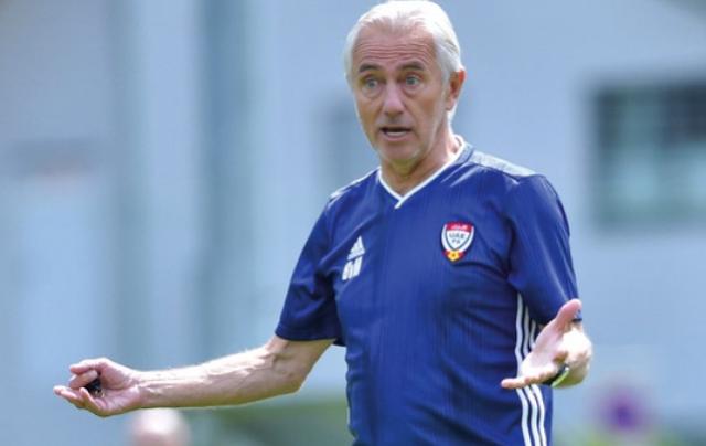 阿联酋足协宣布换帅 范马尔维克下课候选人有两名